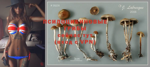 стафф Аркадак