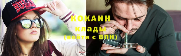 стафф Аркадак