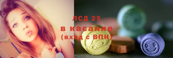 стафф Аркадак