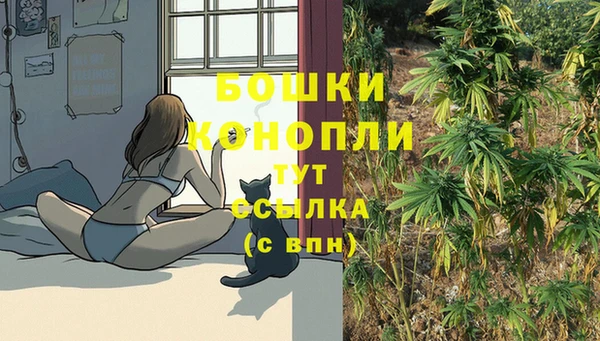 стафф Аркадак