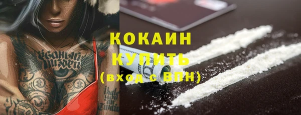стафф Аркадак